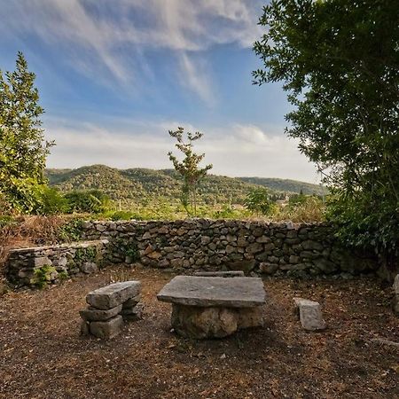 فيلا ستاري غرادفي 450 Year-Old House With A Garden المظهر الخارجي الصورة